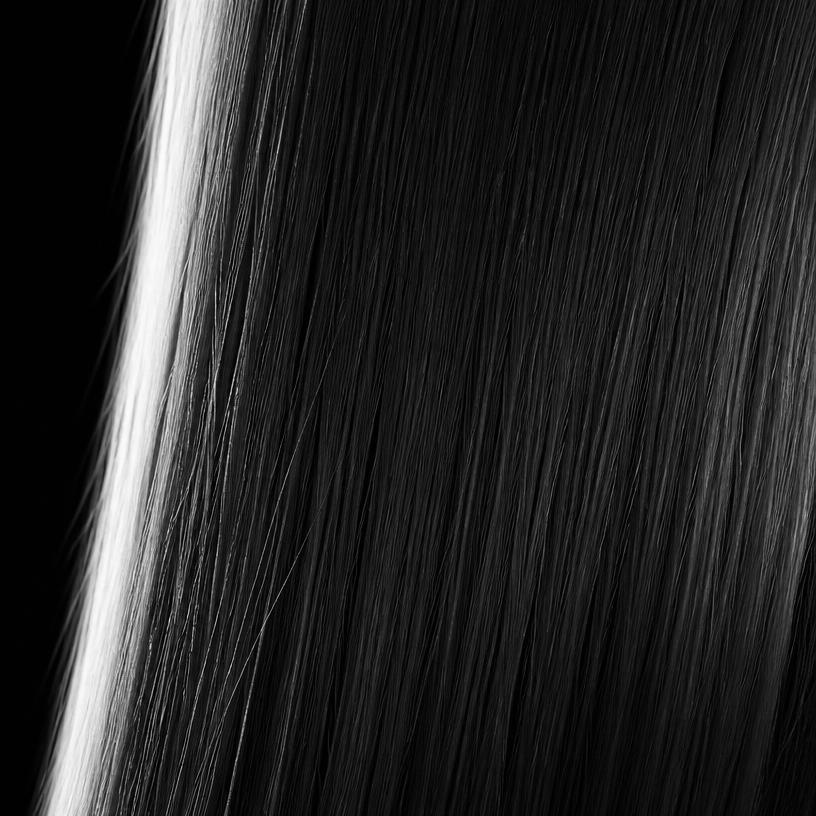 Macro studio photograph of type 1A hair texture
