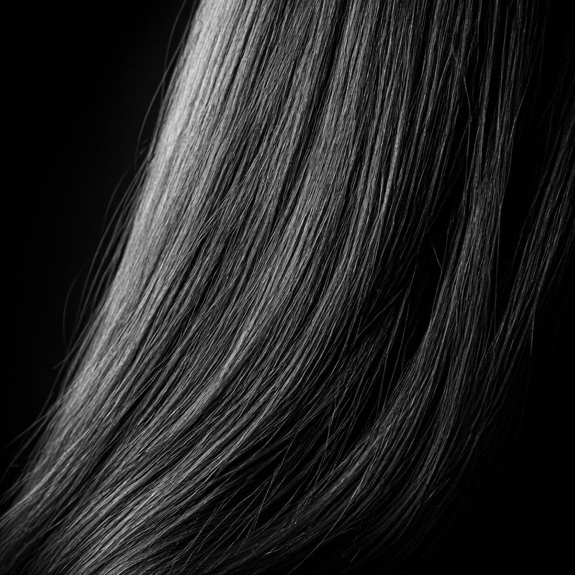 Macro studio photograph of type 1C hair texture