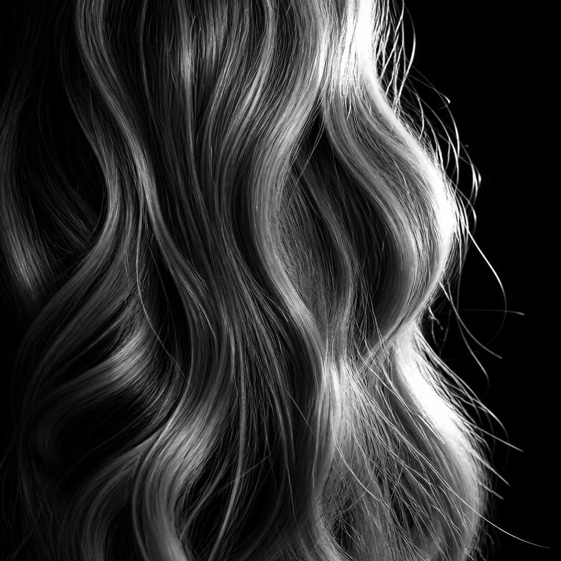 Macro studio photograph of type 2A hair texture