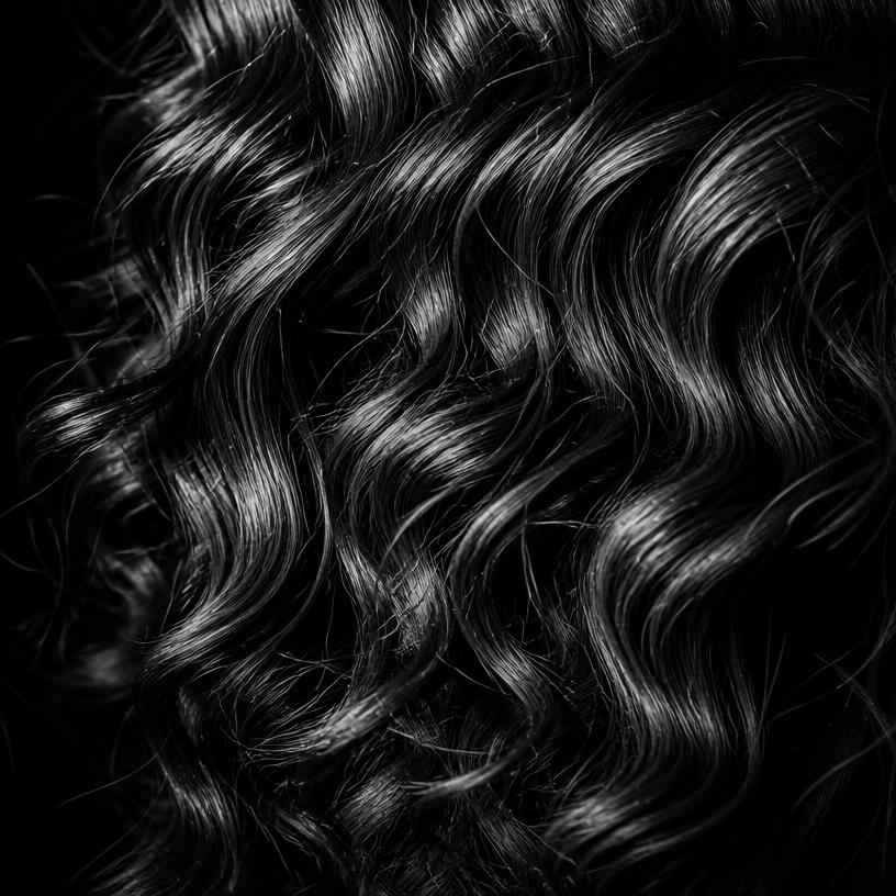 Macro studio photograph of type 2C hair texture